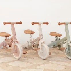 Little Dutch 4 in 1 Driewieler Pink