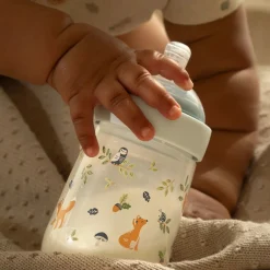 Little Dutch Babyfles 240 ml Forest Friends