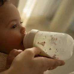 Little Dutch Babyfles 240 ml Little Goose