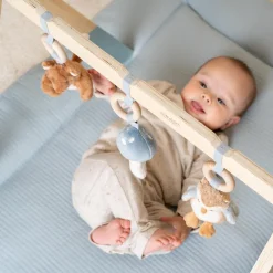 Little Dutch Babygym - Blauw - Forest Friends