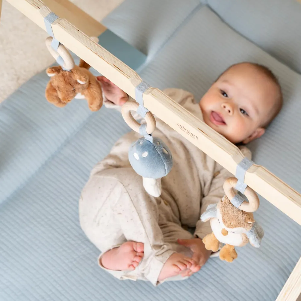 Little Dutch Babygym - Blauw - Forest Friends