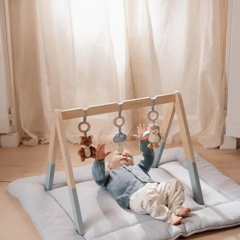 Little Dutch Babygym - Blauw - Forest Friends