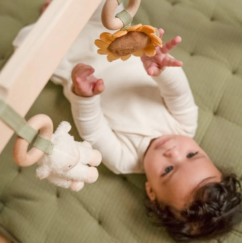 Little Dutch Babygym Little Farm