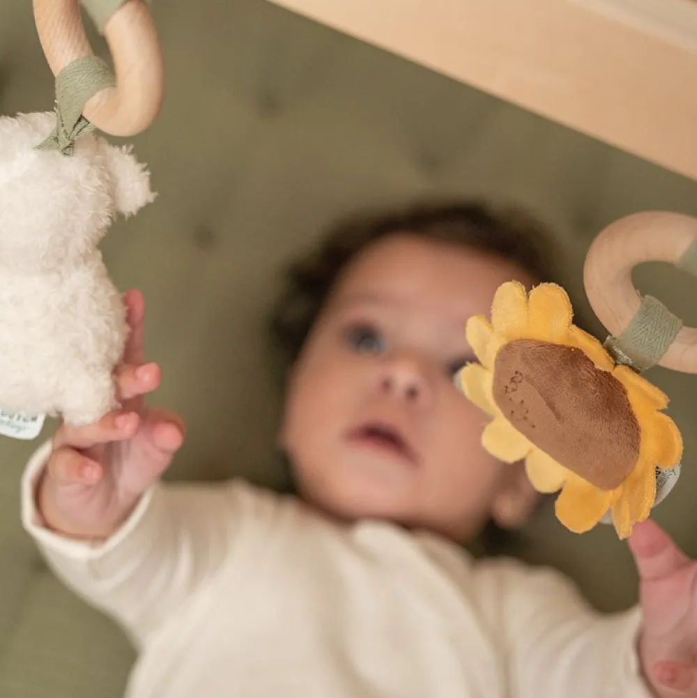 Little Dutch Babygym Little Farm