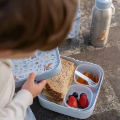 Little Dutch Bento Lunchbox groot Forest Friends