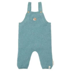 Little Dutch Boxpakje - Blauw - Forest Friends