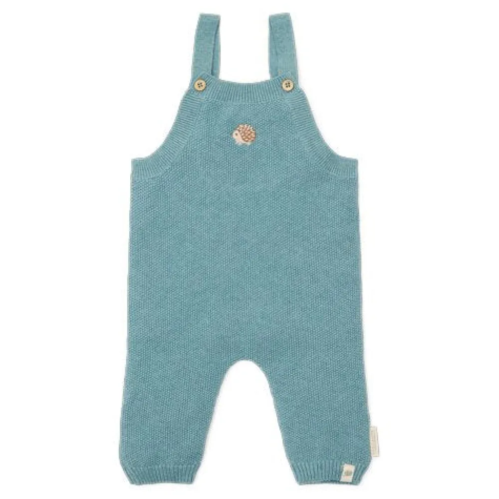 Little Dutch Boxpakje - Blauw - Forest Friends