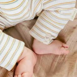 Little Dutch Boxpakje - Meerkleurig - Little Farm - Streep