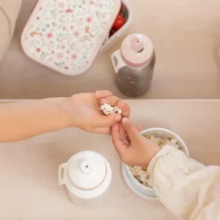 Little Dutch Drinkfles Pop-Up 400 ml Fairy Wonders