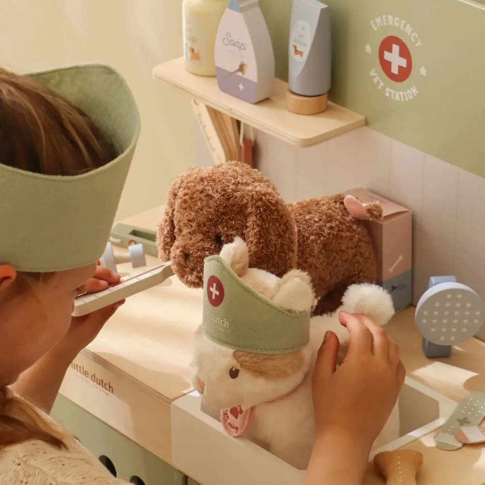 Little Dutch Houten dierenartspraktijk – Groen
