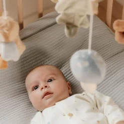 Little Dutch Houten Muziekmobiel - Blauw - Forest Friends