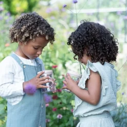 Little Dutch Insectenpotje - Roze - Fairy Garden