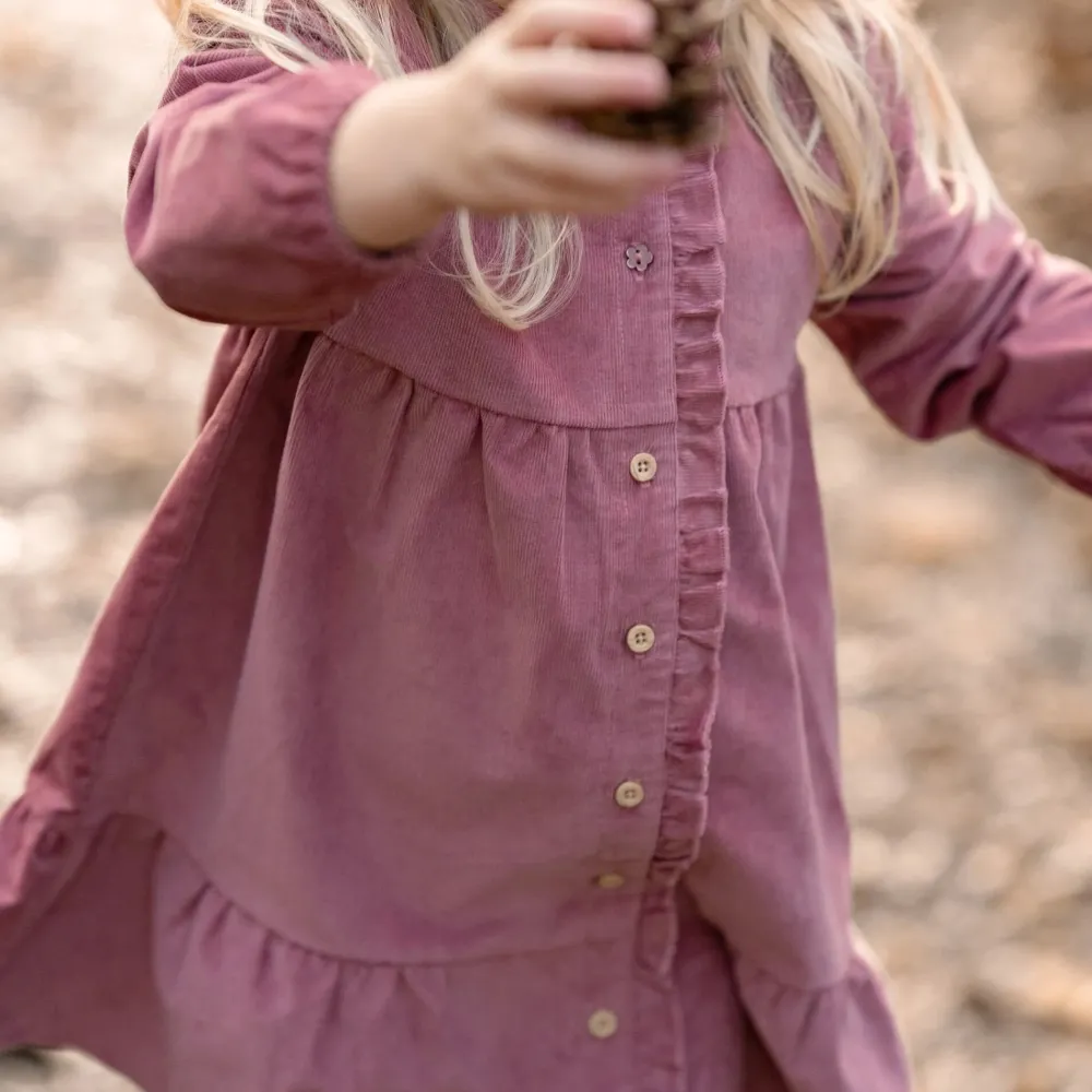 Little Dutch Jurk lange mouw - Roze - Fairy Garden - Corduroy