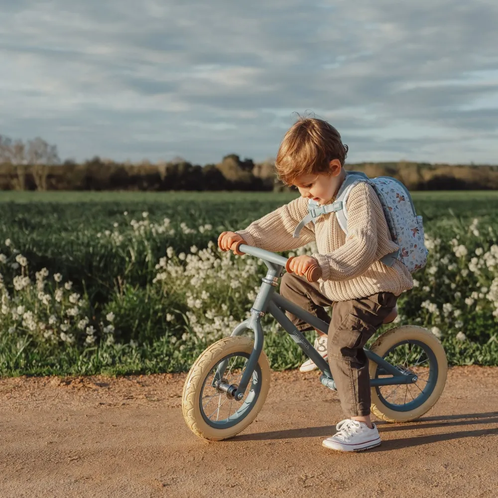 Little Dutch Loopfiets Mat Blauw