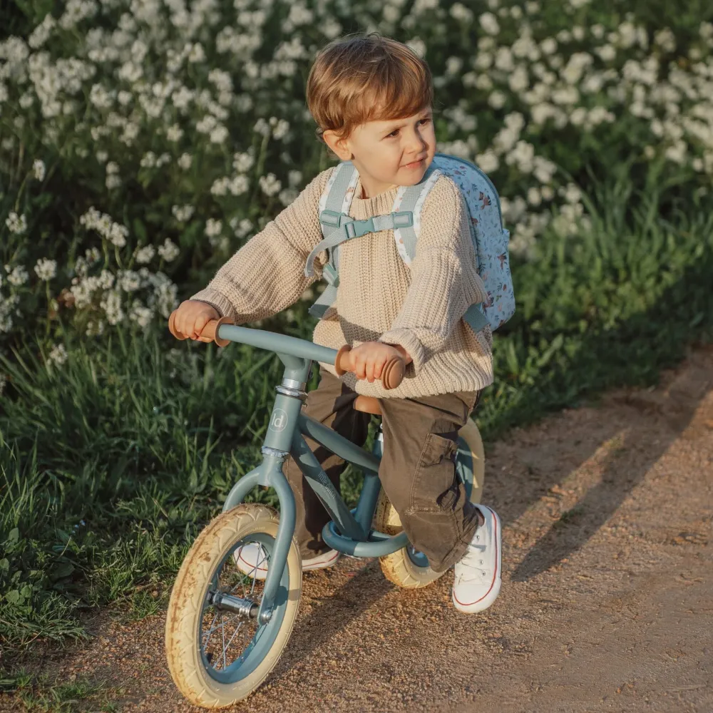Little Dutch Loopfiets Mat Blauw