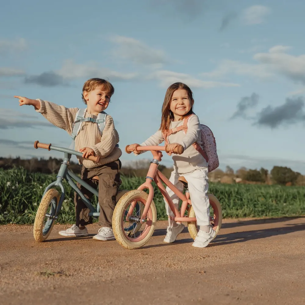 Little Dutch Loopfiets Mat Roze