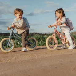 Little Dutch Loopfiets Mat Roze