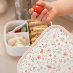 Little Dutch Lunchset Fairy Wonders