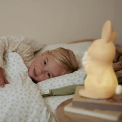 Little Dutch Nachtlamp - Meerkleurig - Forest Friends - Baby Bunny