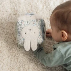 Little Dutch nijntje activiteitenkubus - Blauw - Lucky Leaves