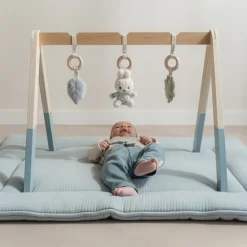 Little Dutch nijntje babygym - Blauw - Lucky Leaves