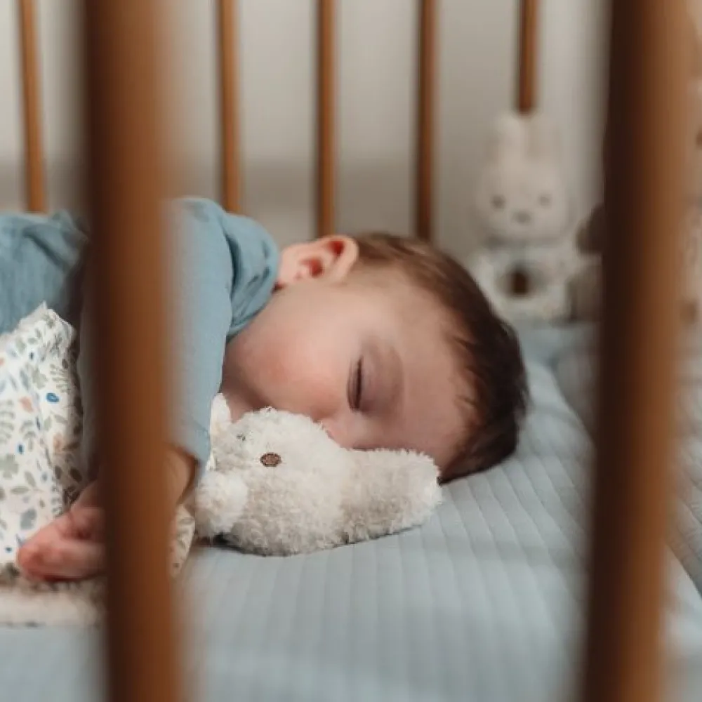 Little Dutch nijntje geschenkdoos - Blauw - Lucky Leaves