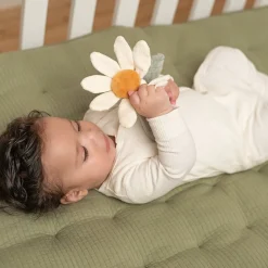 Little Dutch Rammelaar bloem Little Farm