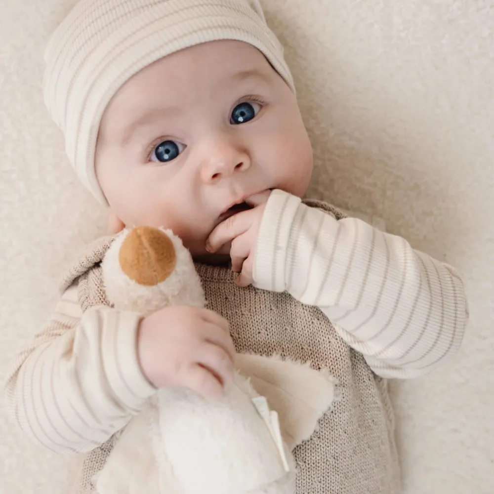 Little Dutch Shirt lange mouw - Beige - Newborn Naturals - Stripe