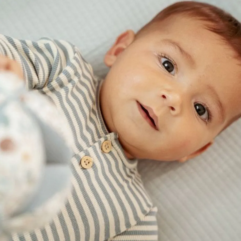 Little Dutch Shirt lange mouw - Blauw - Forest Friends - Stripe