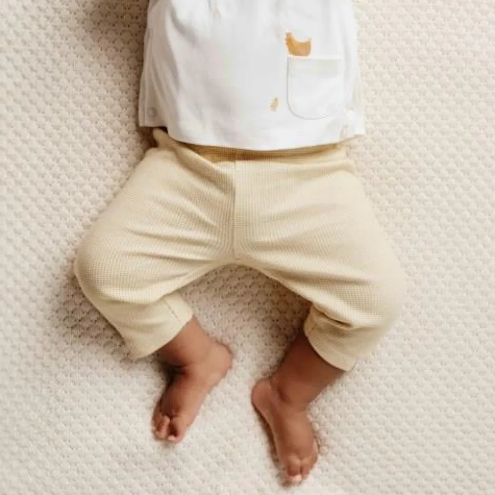 Little Dutch Shirt overslag lange mouw - Wit - Little Farm - Opdruk