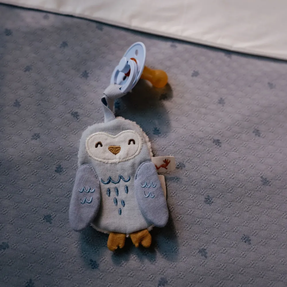 Little Dutch Speendoekje - Blauw - Forest Friends